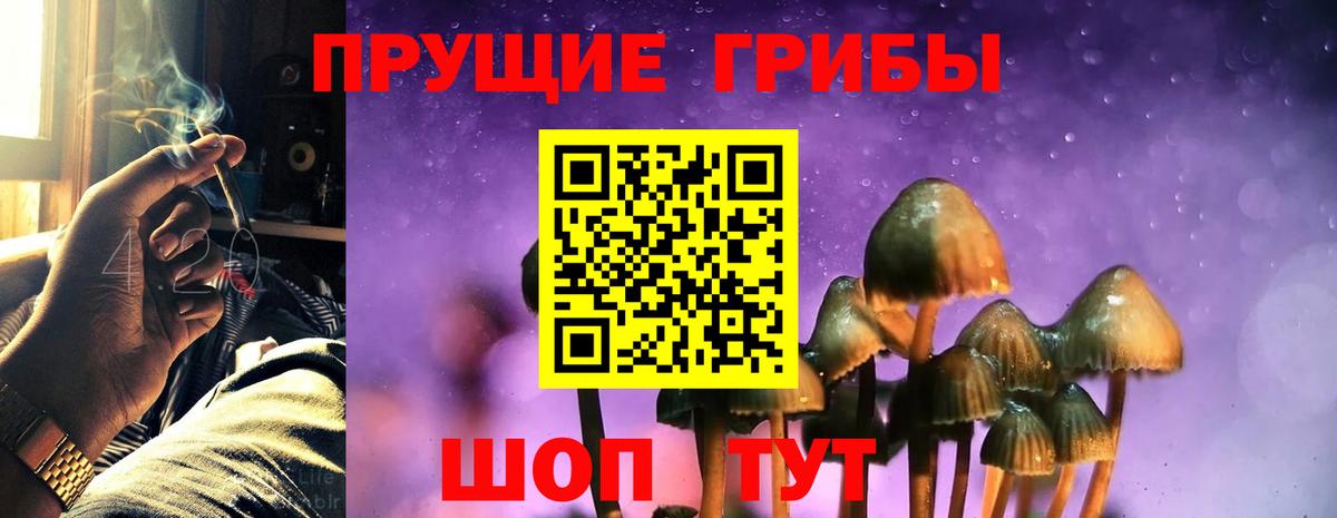 Псилоцибиновые грибы GOLDEN TEACHER  даркнет сайт  Урай  Вход с VPN 